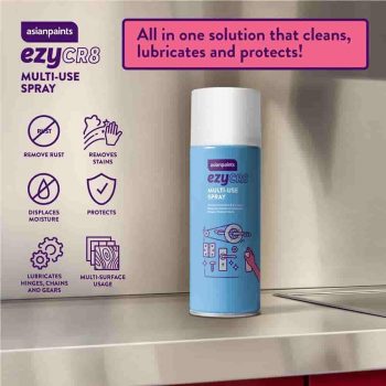Asian Paints Rust Remover Spray for Home & Automotive Maintenance
