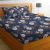 BSB HOME 100% Microfiber bedsheet for Double Bed with 2 Pillow Covers Breathable