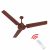 Polycab Eteri BLDC Energy Efficient 5 Star Rated 1200 mm High Speed Ceiling Fan with Remote